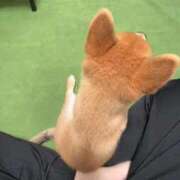 ヒメ日記 2025/07/05 15:59 投稿 ゆり FORTE