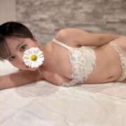 ヒメ日記 2025/10/12 06:49 投稿 ゆり FORTE