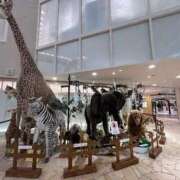 ヒメ日記 2025/11/15 16:09 投稿 ゆり FORTE