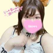 ヒメ日記 2025/01/18 18:48 投稿 天馬つばさ Guilty concept A