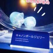 ヒメ日記 2025/03/10 22:50 投稿 しのん One More 奥様　錦糸町店
