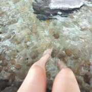 ヒメ日記 2025/10/01 20:23 投稿 しのん One More 奥様　錦糸町店