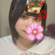 ヒメ日記 2025/03/05 17:15 投稿 あむ フォーチュン