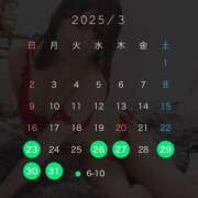 ヒメ日記 2025/03/23 08:31 投稿 オンプ AMOUR（アムール）