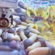 ヒメ日記 2025/10/06 05:55 投稿 しの 熟女家 東大阪店（布施・長田）