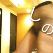 ヒメ日記 2026/03/30 04:55 投稿 しの 熟女家 東大阪店（布施・長田）