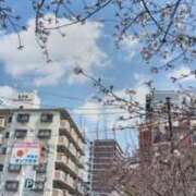 ヒメ日記 2026/04/02 22:06 投稿 しの 熟女家 東大阪店（布施・長田）