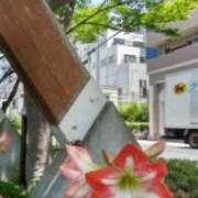 ヒメ日記 2026/05/24 16:55 投稿 しの 熟女家 東大阪店（布施・長田）