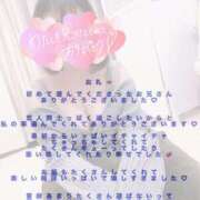 ヒメ日記 2026/02/26 16:59 投稿 わかな 西船人妻花壇