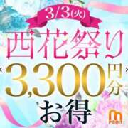 ヒメ日記 2026/03/03 14:36 投稿 わかな 西船人妻花壇