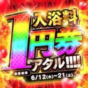 ヒメ日記 2025/06/16 16:00 投稿 みや Ace(エース)