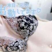 ヒメ日記 2025/10/29 10:00 投稿 みや Ace(エース)