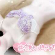 ヒメ日記 2025/11/07 10:00 投稿 みや Ace(エース)