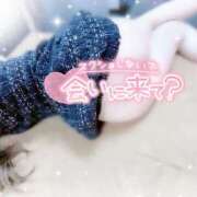 ヒメ日記 2025/11/07 14:15 投稿 みや Ace(エース)