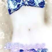 ヒメ日記 2025/11/12 15:45 投稿 みや Ace(エース)