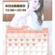 ヒメ日記 2025/11/13 15:00 投稿 みや Ace(エース)