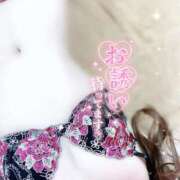 ヒメ日記 2025/11/30 10:00 投稿 みや Ace(エース)