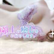 ヒメ日記 2026/01/29 10:00 投稿 みや Ace(エース)