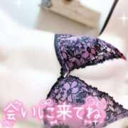 ヒメ日記 2026/02/04 10:00 投稿 みや Ace(エース)