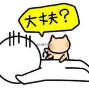 ヒメ日記 2026/04/21 12:00 投稿 いろは モアグループ川越人妻花壇