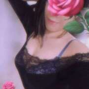 ヒメ日記 2026/04/29 11:50 投稿 いろは モアグループ川越人妻花壇