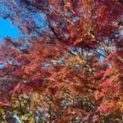 ヒメ日記 2025/12/13 19:04 投稿 立花 おとなのわいせつ倶楽部 池袋店