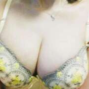 ヒメ日記 2025/03/20 11:31 投稿 さくらこ MOTHER(旧ママとおねえさん)