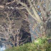 ヒメ日記 2025/02/27 22:32 投稿 ひめな スピードエコ難波店