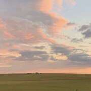 ヒメ日記 2025/06/02 13:42 投稿 ひめな スピードエコ難波店