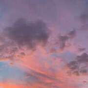 ヒメ日記 2025/10/30 13:22 投稿 ひめな スピードエコ難波店