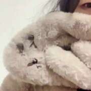 ヒメ日記 2024/12/15 19:21 投稿 なぎさ 奥様特急長岡店