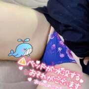 ヒメ日記 2024/12/30 00:04 投稿 るあ 宮崎ちゃんこ中央通店