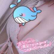 ヒメ日記 2025/01/20 00:25 投稿 るあ 宮崎ちゃんこ中央通店