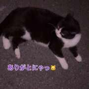 ヒメ日記 2025/09/17 03:12 投稿 るあ 宮崎ちゃんこ中央通店