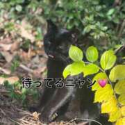 ヒメ日記 2025/12/09 17:47 投稿 るあ 宮崎ちゃんこ中央通店