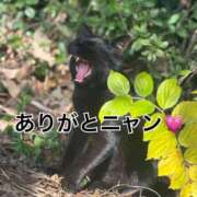 ヒメ日記 2025/12/13 21:27 投稿 るあ 宮崎ちゃんこ中央通店