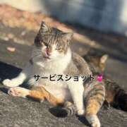 ヒメ日記 2025/12/17 08:07 投稿 るあ 宮崎ちゃんこ中央通店