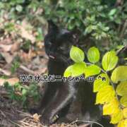 ヒメ日記 2025/12/18 10:37 投稿 るあ 宮崎ちゃんこ中央通店