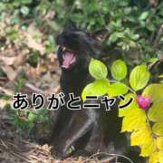 ヒメ日記 2025/12/19 21:17 投稿 るあ 宮崎ちゃんこ中央通店