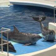 ヒメ日記 2026/02/01 18:27 投稿 るあ 宮崎ちゃんこ中央通店