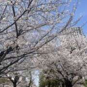 ヒメ日記 2025/04/12 15:04 投稿 えみり シェリーエンジェル