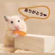 ヒメ日記 2026/09/19 23:47 投稿 えみり シェリーエンジェル