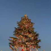 ヒメ日記 2024/12/09 11:42 投稿 千尋(ちひろ) 人妻城 横浜本店