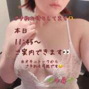 ヒメ日記 2025/05/04 11:39 投稿 千尋(ちひろ) 人妻城 横浜本店