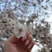 ヒメ日記 2026/04/14 16:05 投稿 千尋(ちひろ) 人妻城 横浜本店