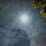 ヒメ日記 2025/11/08 08:42 投稿 ゆあ ハピネス福岡