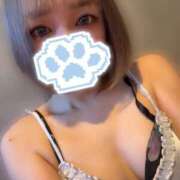 ヒメ日記 2025/02/20 11:06 投稿 いずみ 道玄坂クリスタル