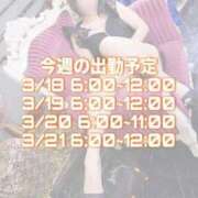 ヒメ日記 2025/03/16 09:17 投稿 いずみ 道玄坂クリスタル