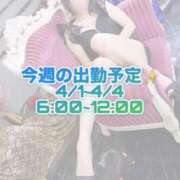 ヒメ日記 2025/03/31 15:00 投稿 いずみ 道玄坂クリスタル