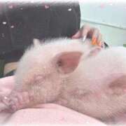 ヒメ日記 2025/08/22 09:18 投稿 いずみ 道玄坂クリスタル